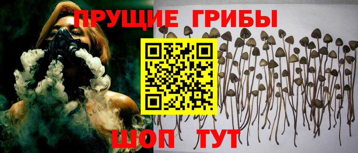 Галлюциногенные грибы прущие грибы  Вход с VPN  Алексин 